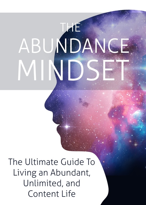 Product picture The Abundance Mindset